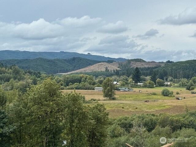 0 Garrard Creek Road Oakville WA 98568