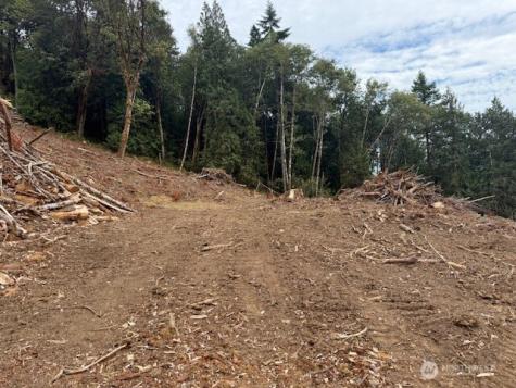 0 Garrard Creek Road Oakville WA 98568