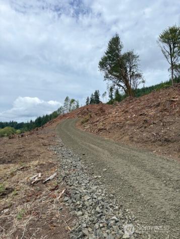 0 Garrard Creek Road Oakville WA 98568