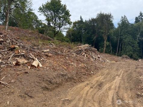 0 Garrard Creek Road Oakville WA 98568