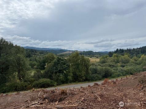 0 Garrard Creek Road Oakville WA 98568
