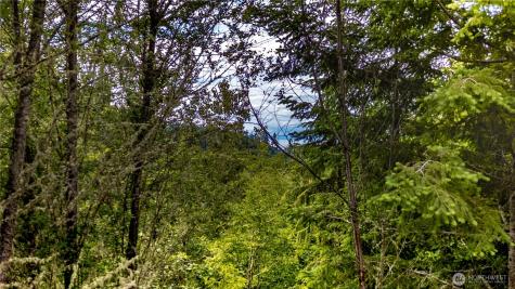 9999 S Old Mill Road Port Angeles WA 98362