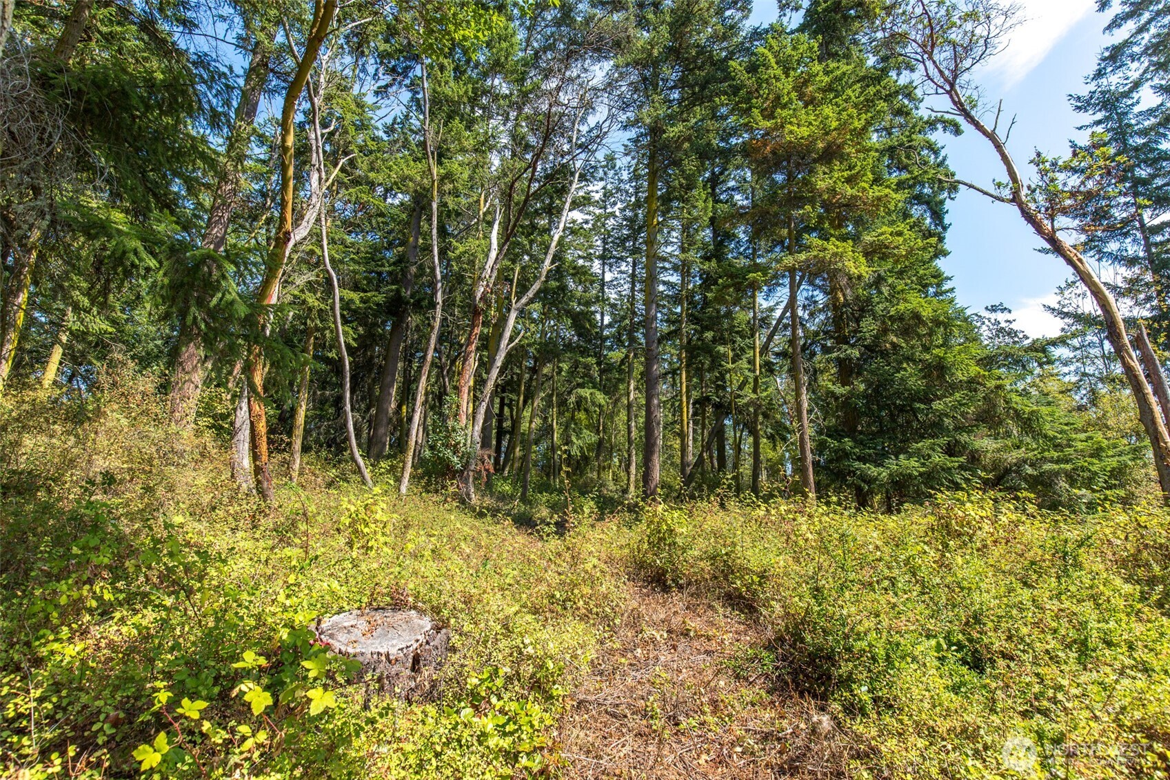 9999 Discovery Road Port Townsend WA 98368