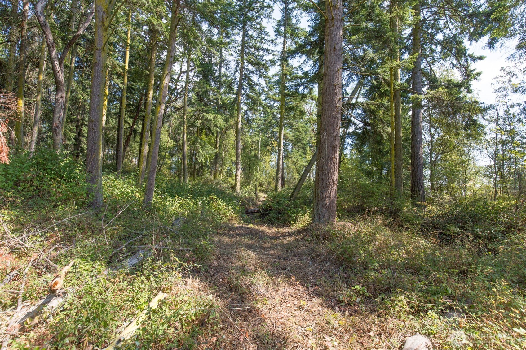 9999 Discovery Road Port Townsend WA 98368