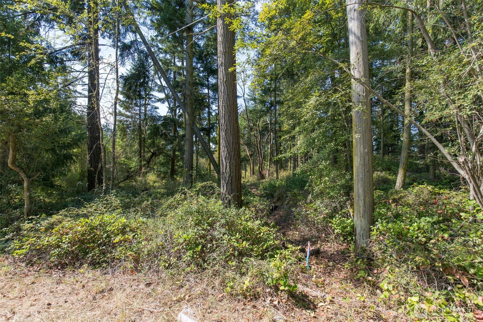 9999 Discovery Road Port Townsend WA 98368