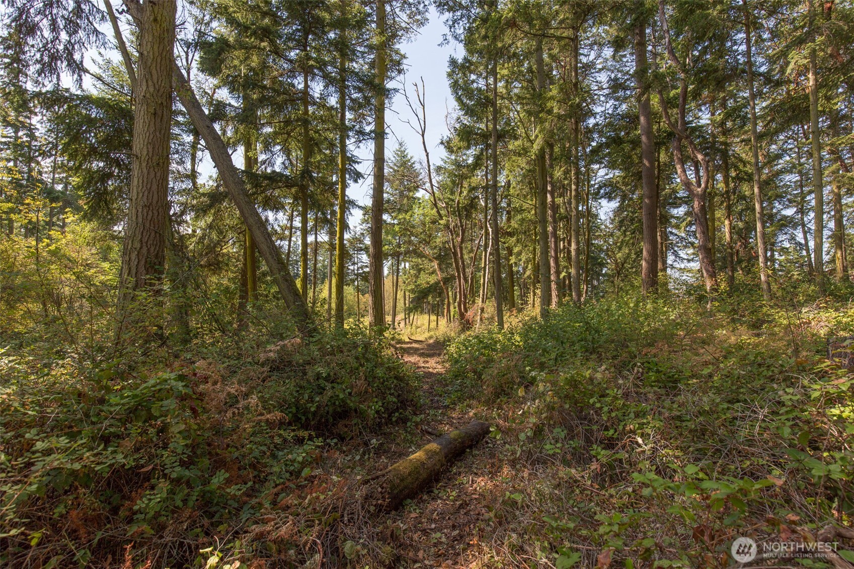 9999 Discovery Road Port Townsend WA 98368