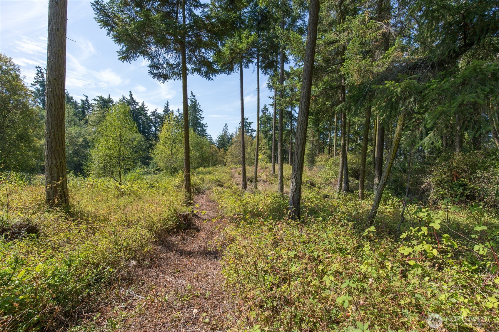 9999 Discovery Road Port Townsend WA 98368