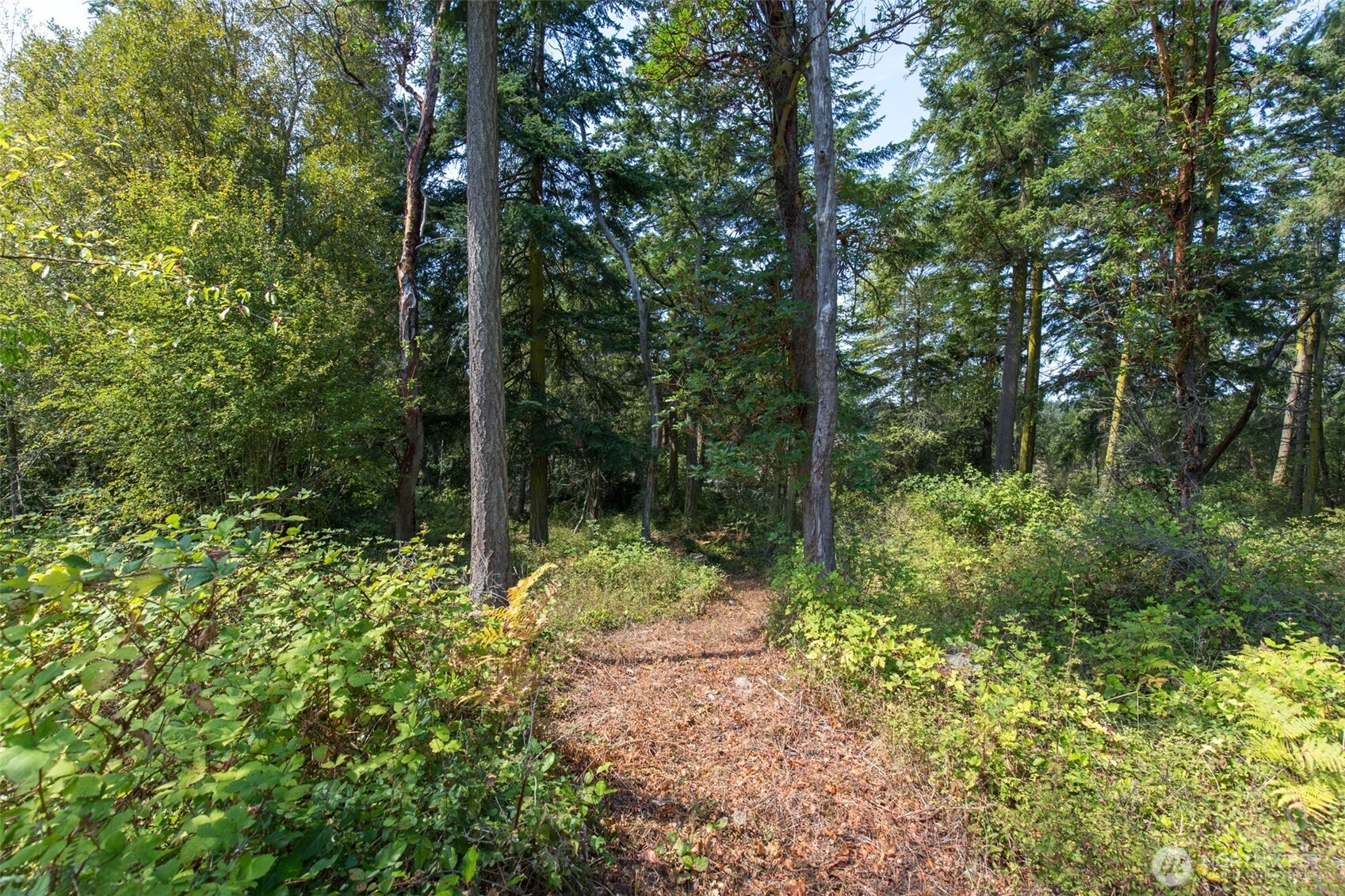 9999 Discovery Road Port Townsend WA 98368