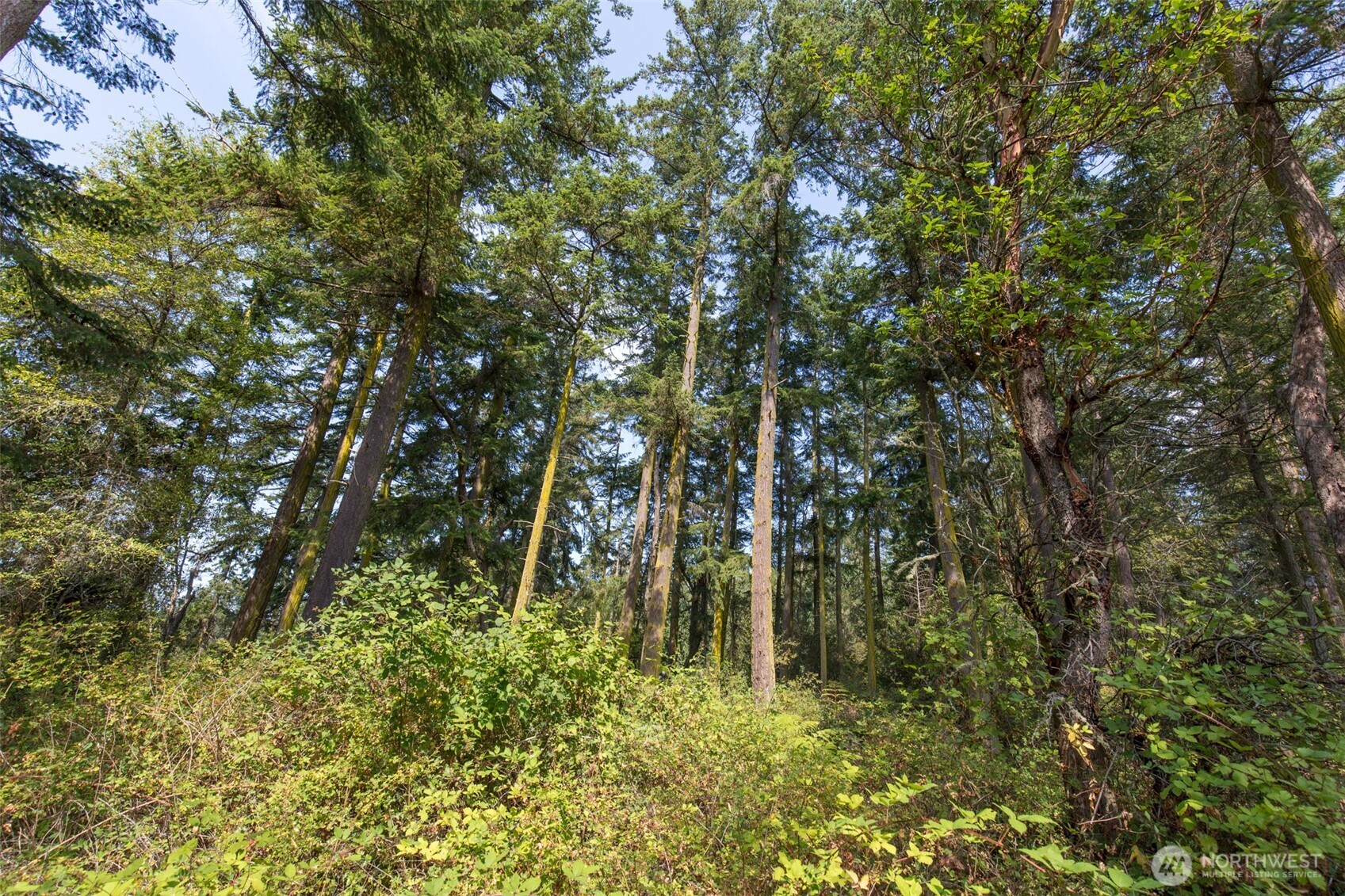 9999 Discovery Road Port Townsend WA 98368