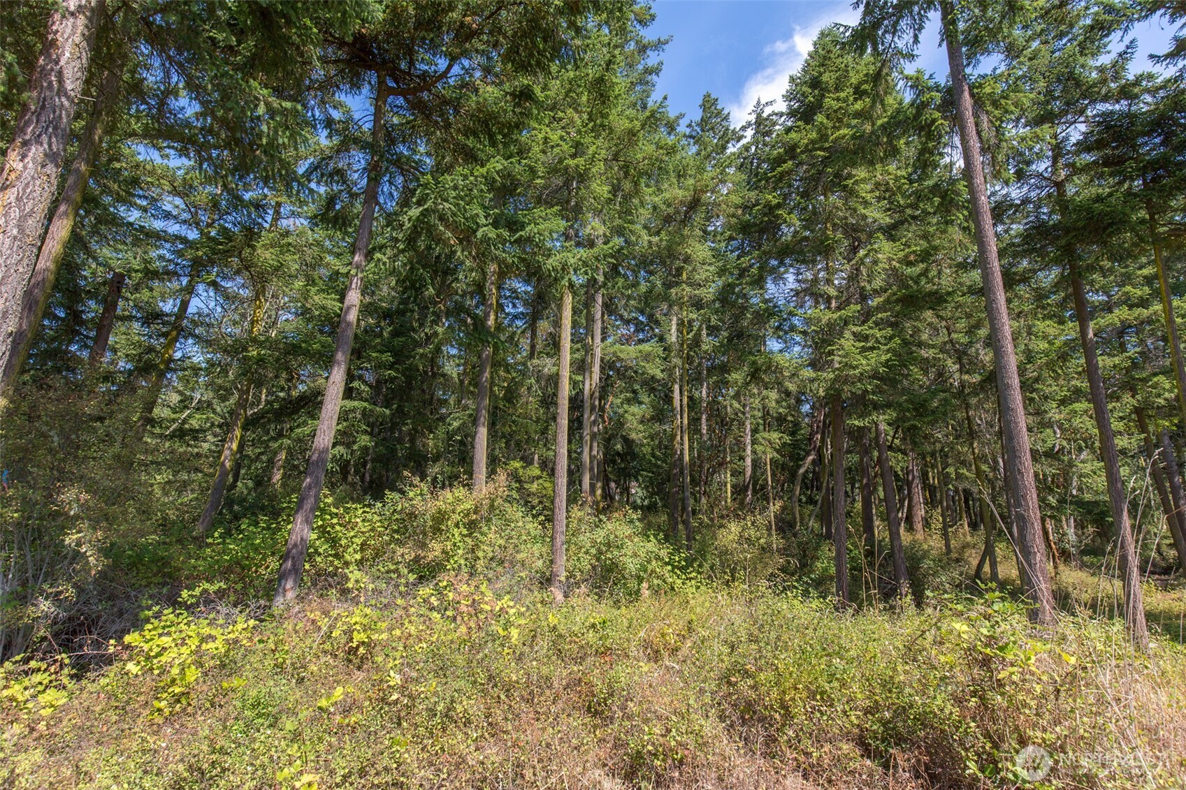 9999 Discovery Road Port Townsend WA 98368