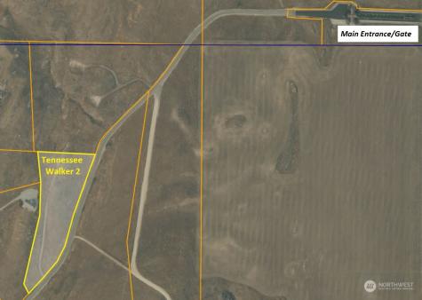 0 Tennessee Walker Brewster WA 98812