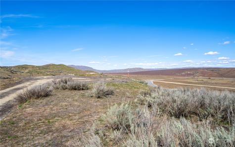 0 Tennessee Walker Brewster WA 98812