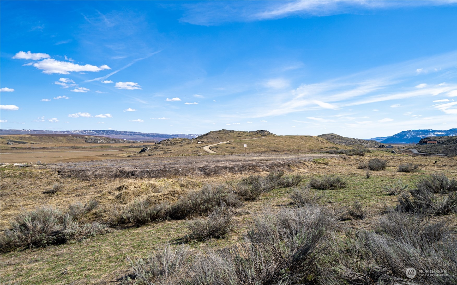 0 Tennessee Walker Brewster WA 98812