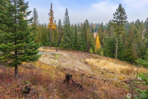 717 Finley Gulch Road Colville WA 99114