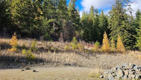 717 Finley Gulch Road Colville WA 99114