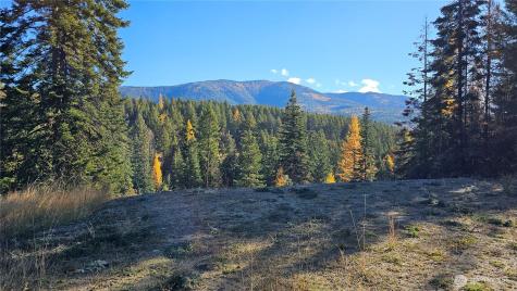 717 Finley Gulch Road Colville WA 99114