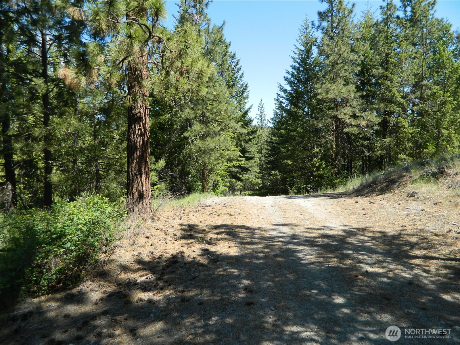 0 Tbd Murphy Ranch Road Tonasket WA 98855