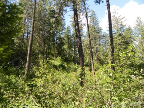0 Tbd Murphy Ranch Road Tonasket WA 98855