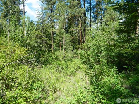 0 Tbd Murphy Ranch Road Tonasket WA 98855