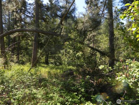 0 Tbd Murphy Ranch Road Tonasket WA 98855