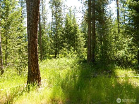 0 Tbd Murphy Ranch Road Tonasket WA 98855