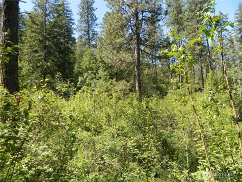 0 Tbd Murphy Ranch Road Tonasket WA 98855