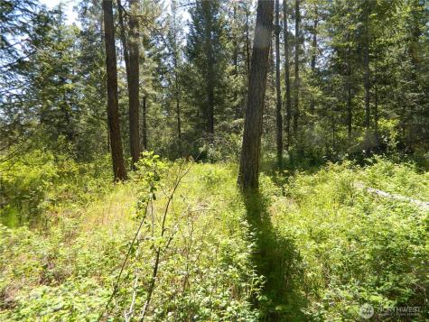 0 Tbd Murphy Ranch Road Tonasket WA 98855