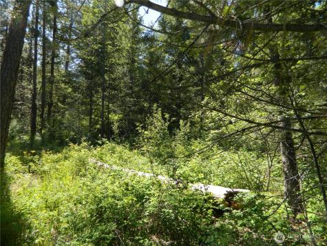 0 Tbd Murphy Ranch Road Tonasket WA 98855