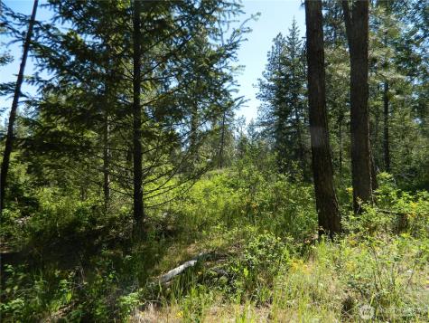 0 Tbd Murphy Ranch Road Tonasket WA 98855