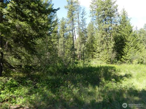 0 Tbd Murphy Ranch Road Tonasket WA 98855