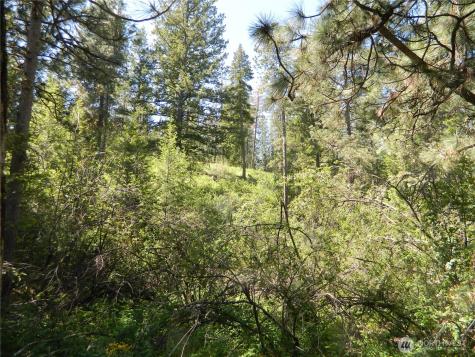 0 Tbd Murphy Ranch Road Tonasket WA 98855