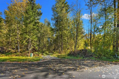 0 115th Avenue NE Lake Stevens WA 98258