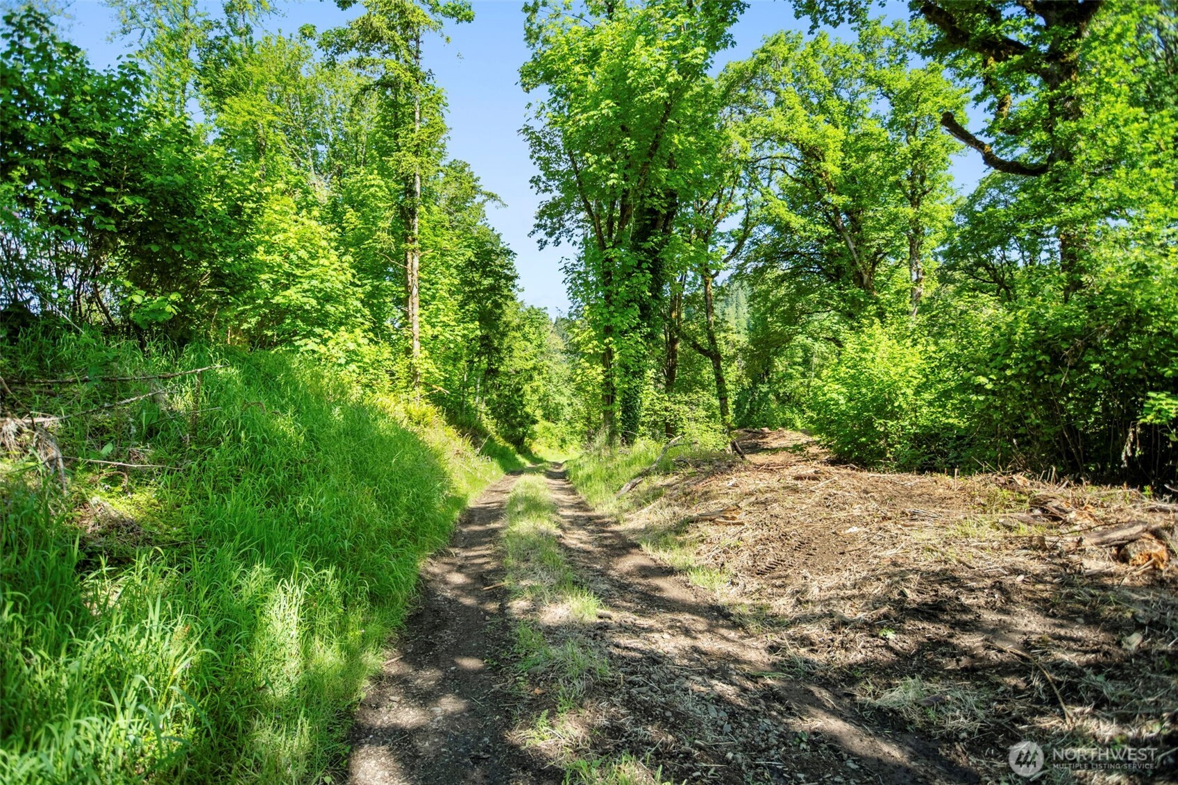 110 N Burke Road Woodland WA 98674