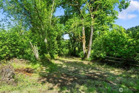 110 N Burke Road Woodland WA 98674