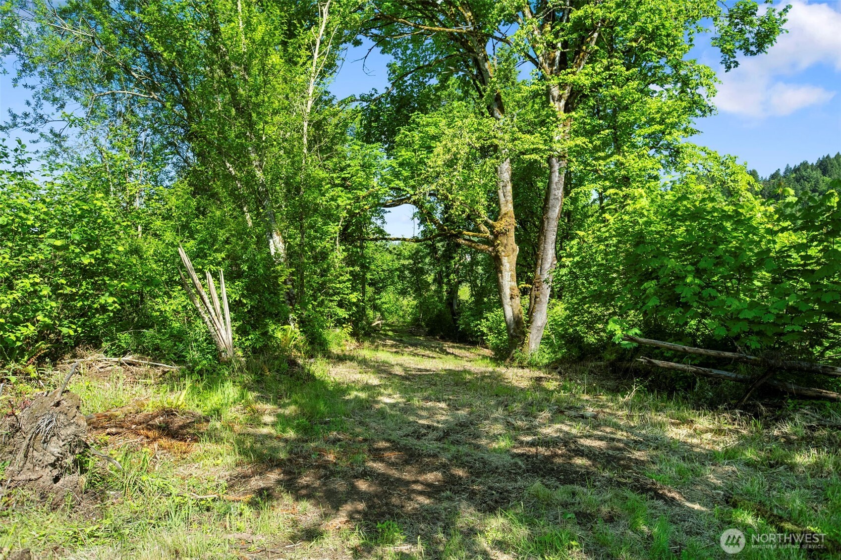 110 N Burke Road Woodland WA 98674