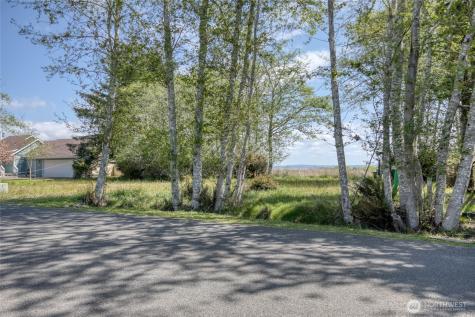 308 Olympic View Avenue NE Ocean Shores WA 98569