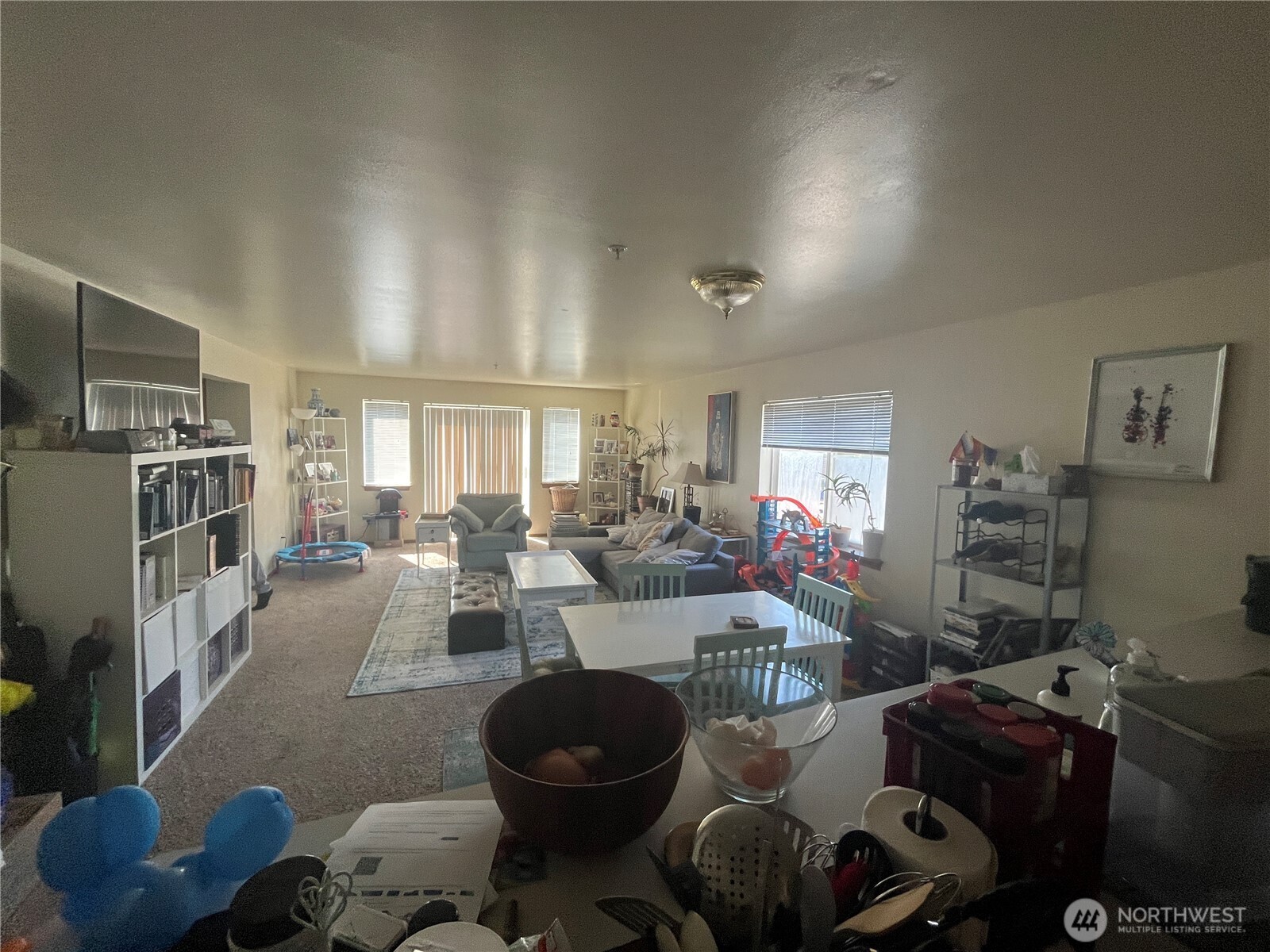 8830 Nesbit Avenue N Seattle WA 98103