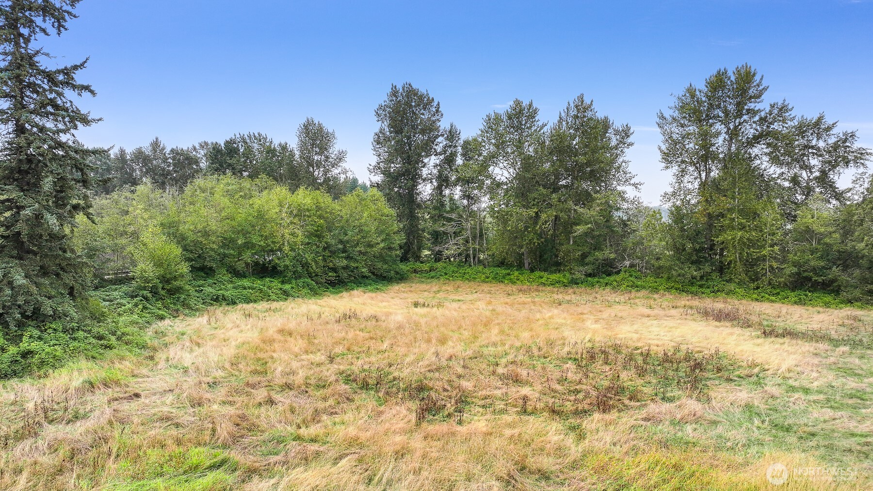 7245 Kickerville Road Ferndale WA 98248