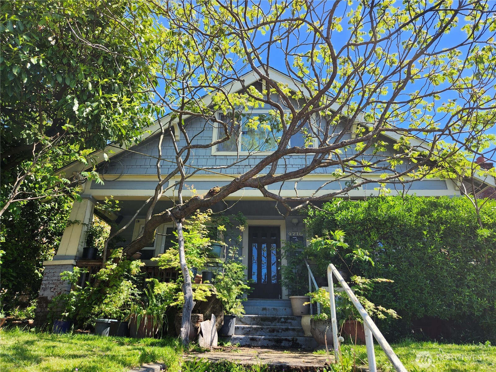4716 7th Avenue NE Seattle WA 98105