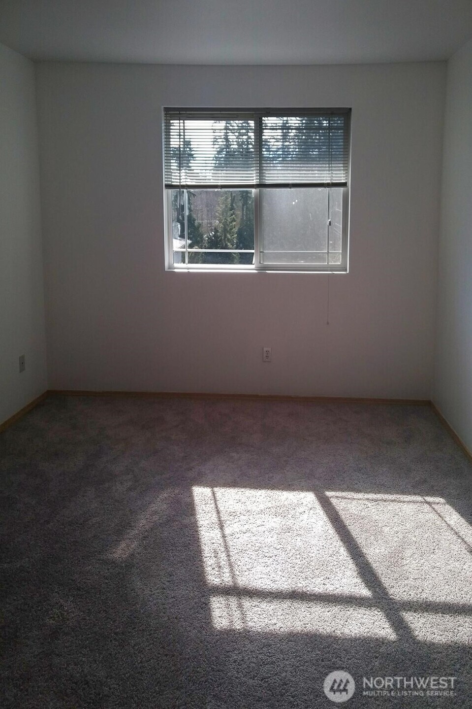 3115 York Road Everett WA 98204