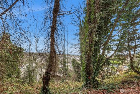 1312 15th Avenue S Seattle WA 98144