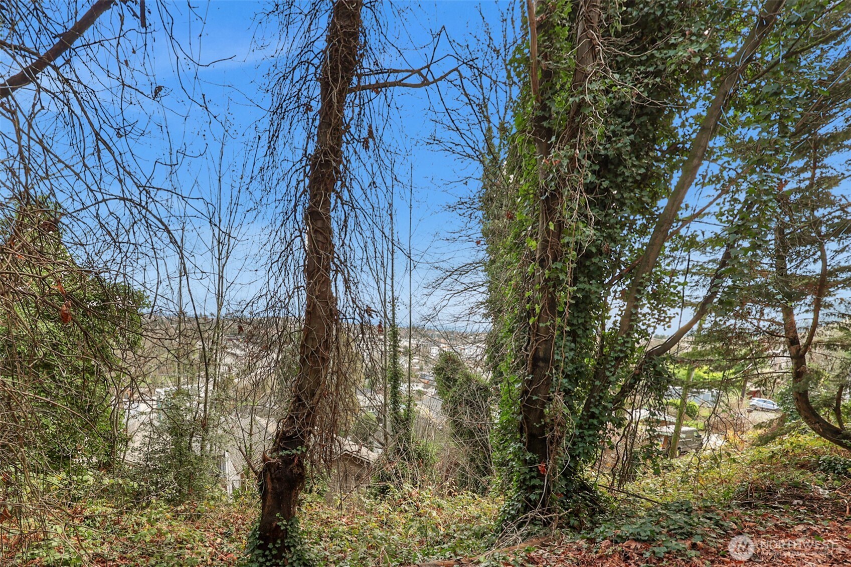 1312 15th Avenue S Seattle WA 98144