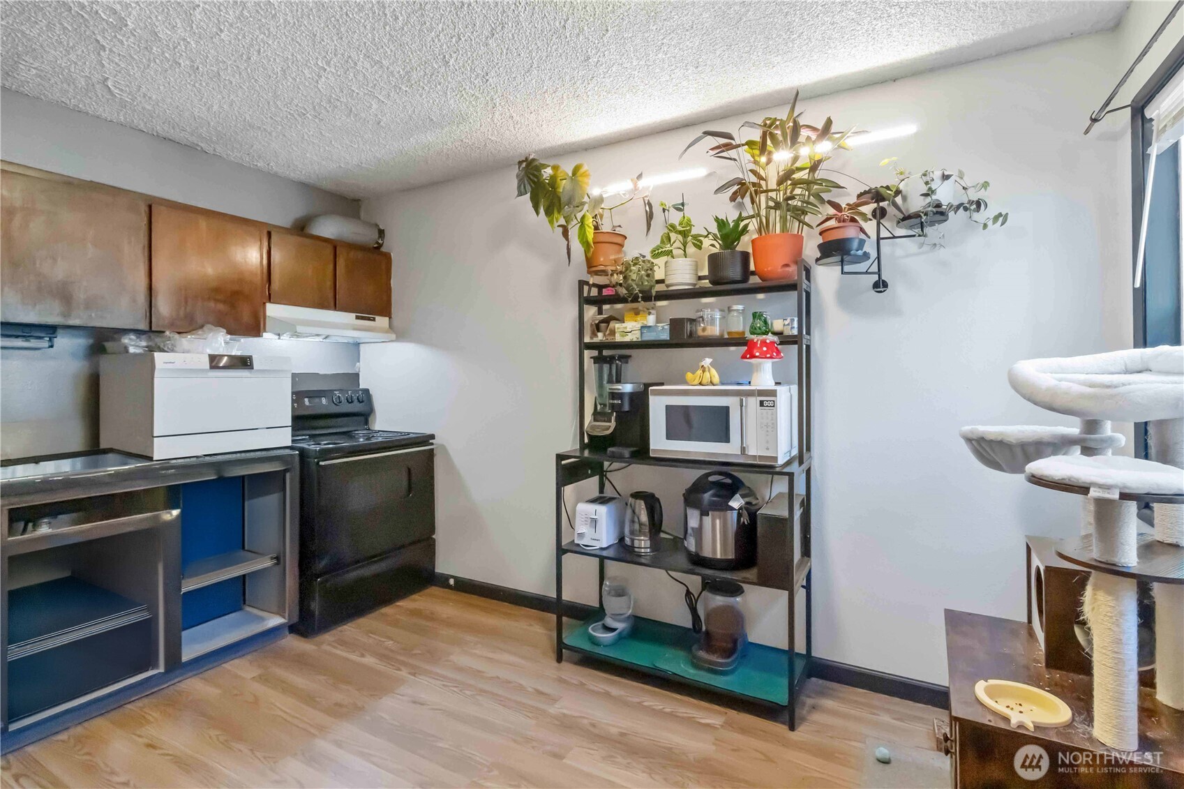 1337 10th Avenue Longview WA 98632