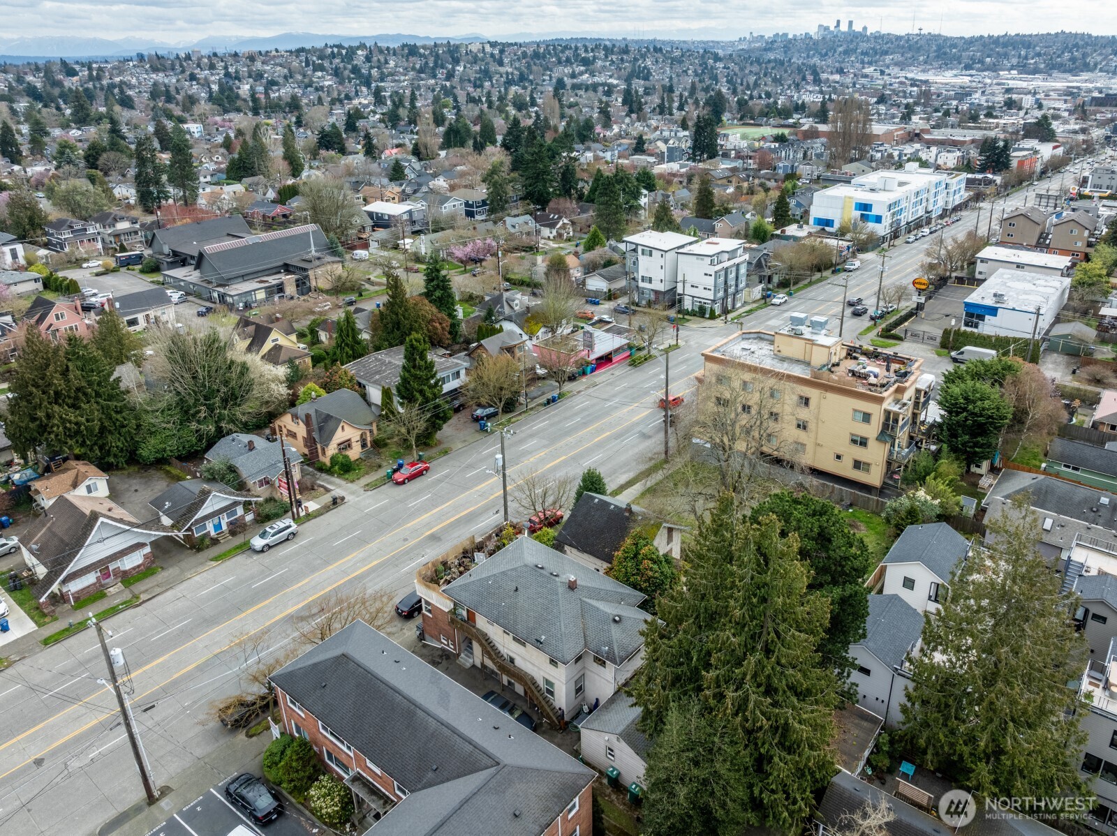 7329 15th Avenue NW Seattle WA 98107