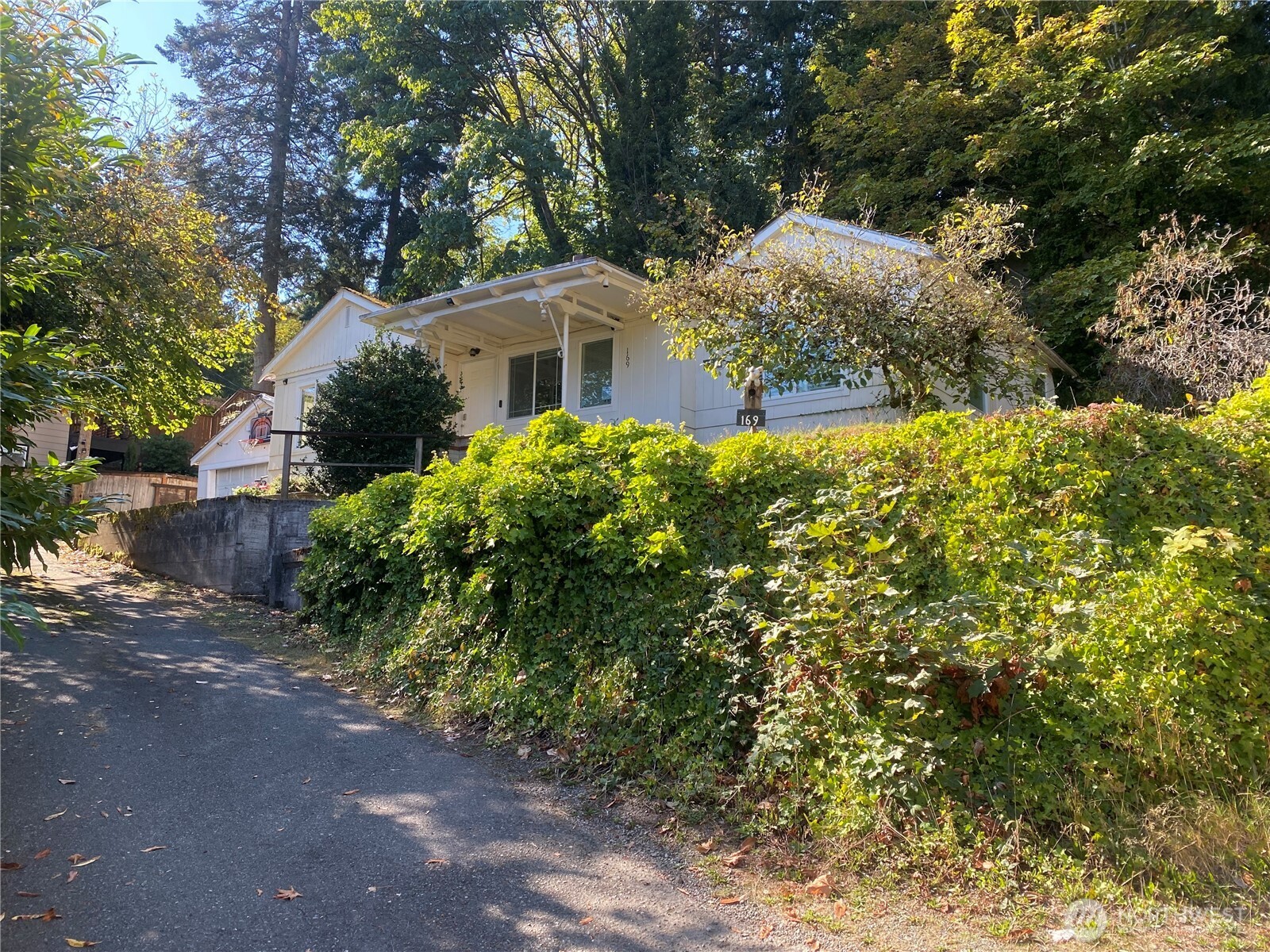 161 108 Avenue SE Bellevue WA 98004