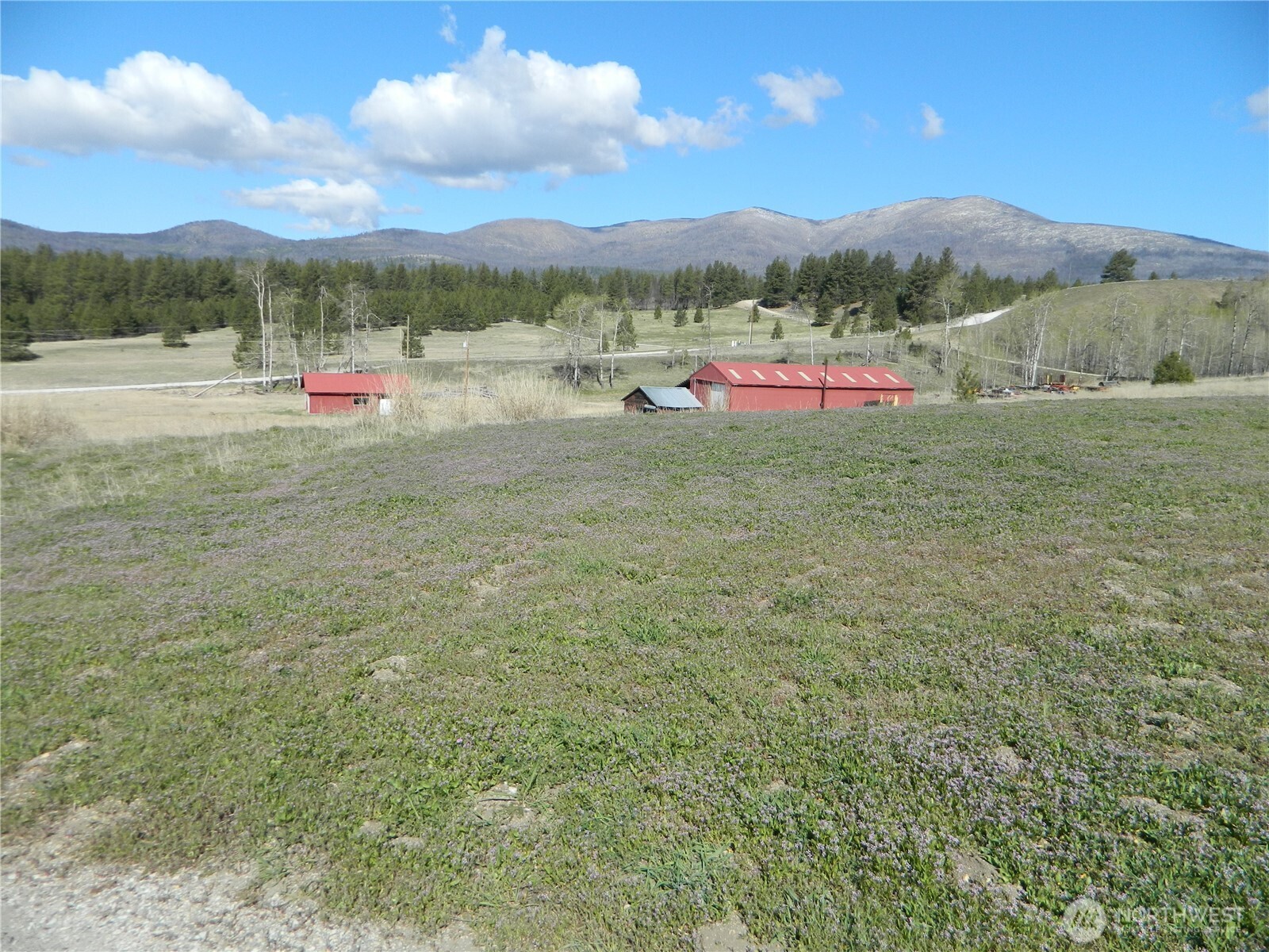 100 Summer Road Tonasket WA 98855