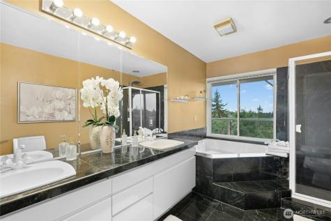 13603 SE 55th Place Bellevue WA 98006