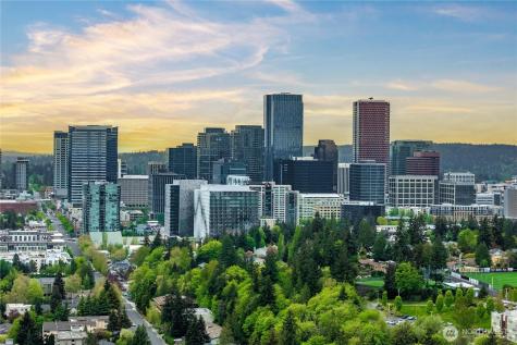 10351 SE 8th Street Bellevue WA 98004