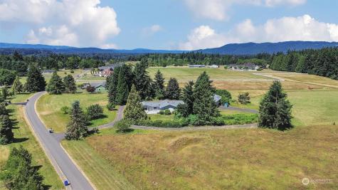 9334 Gustafson Lane Sw Rochester WA 98579