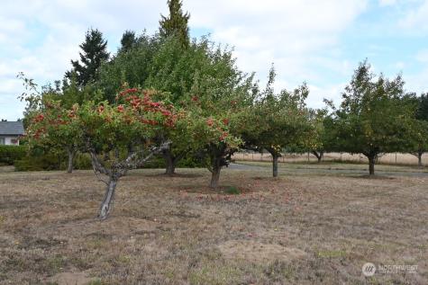 9334 Gustafson Lane Sw Rochester WA 98579